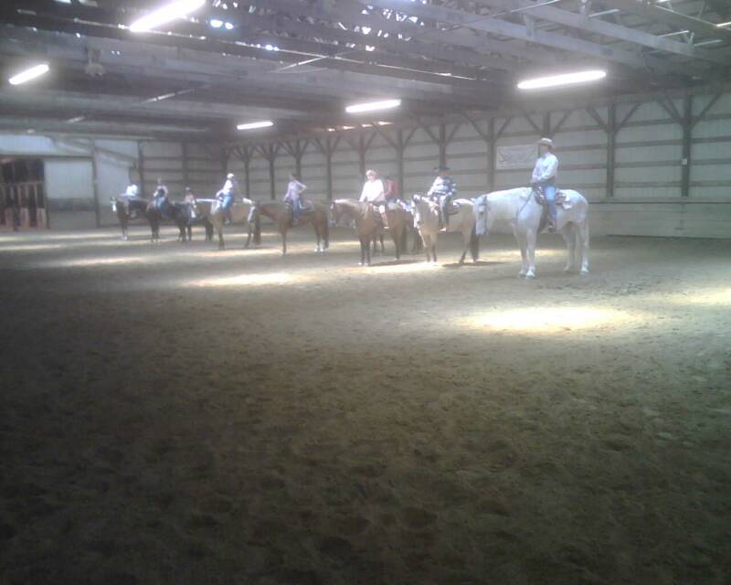 open horse show