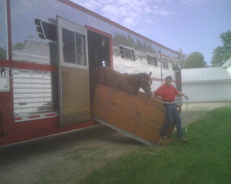 horse deliveries