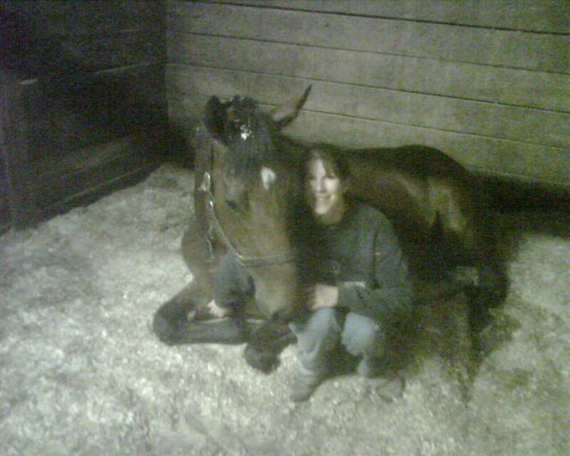 Polar Heat & Robin