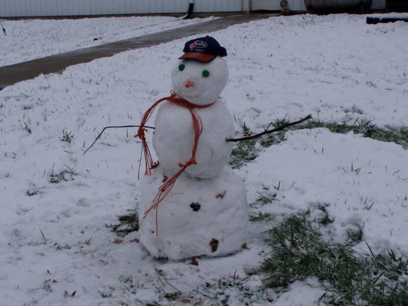 built by Jeffers kids