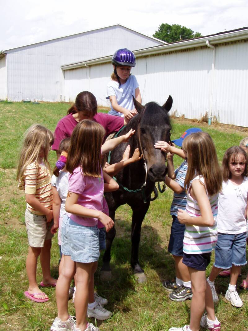 pony party
